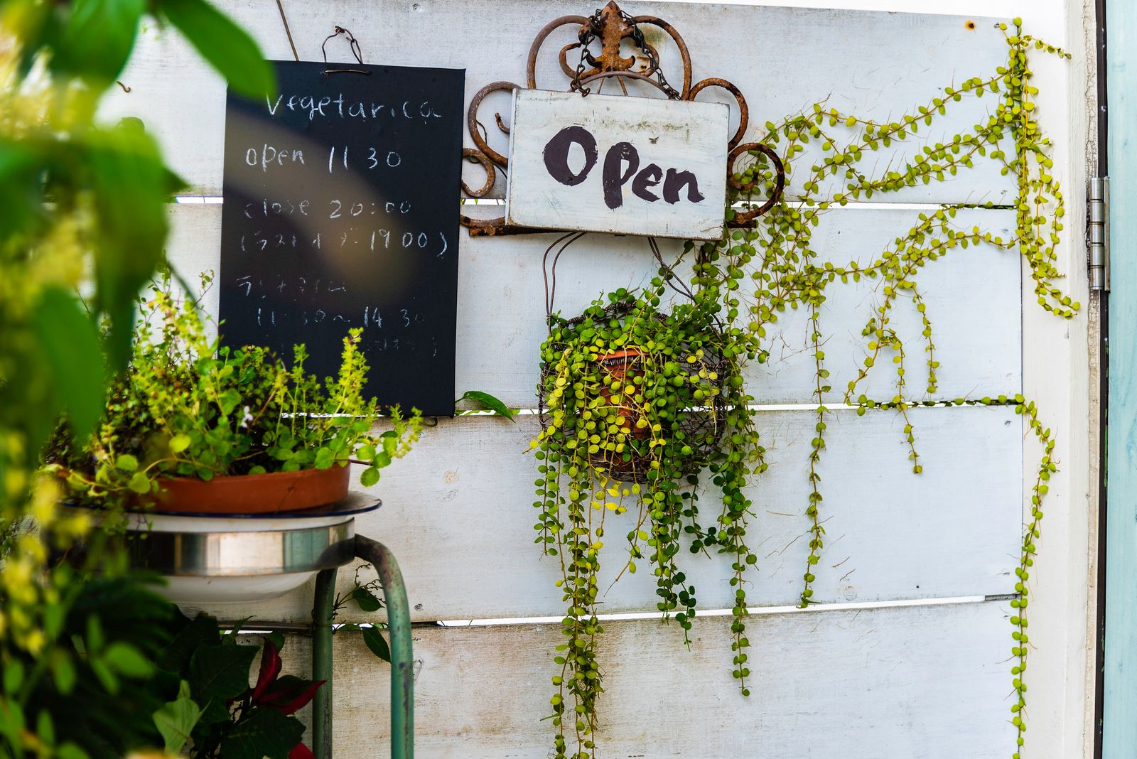 Wall-mounted open sign identifying a business entrance